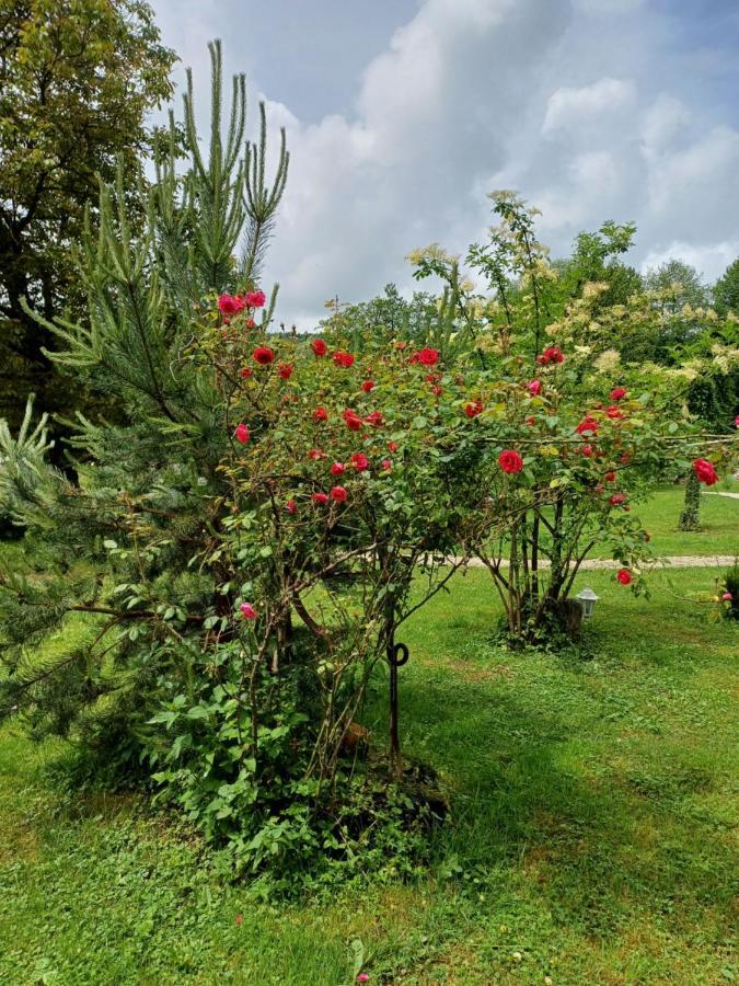 Edenski Vrt Сasa de vacaciones *
