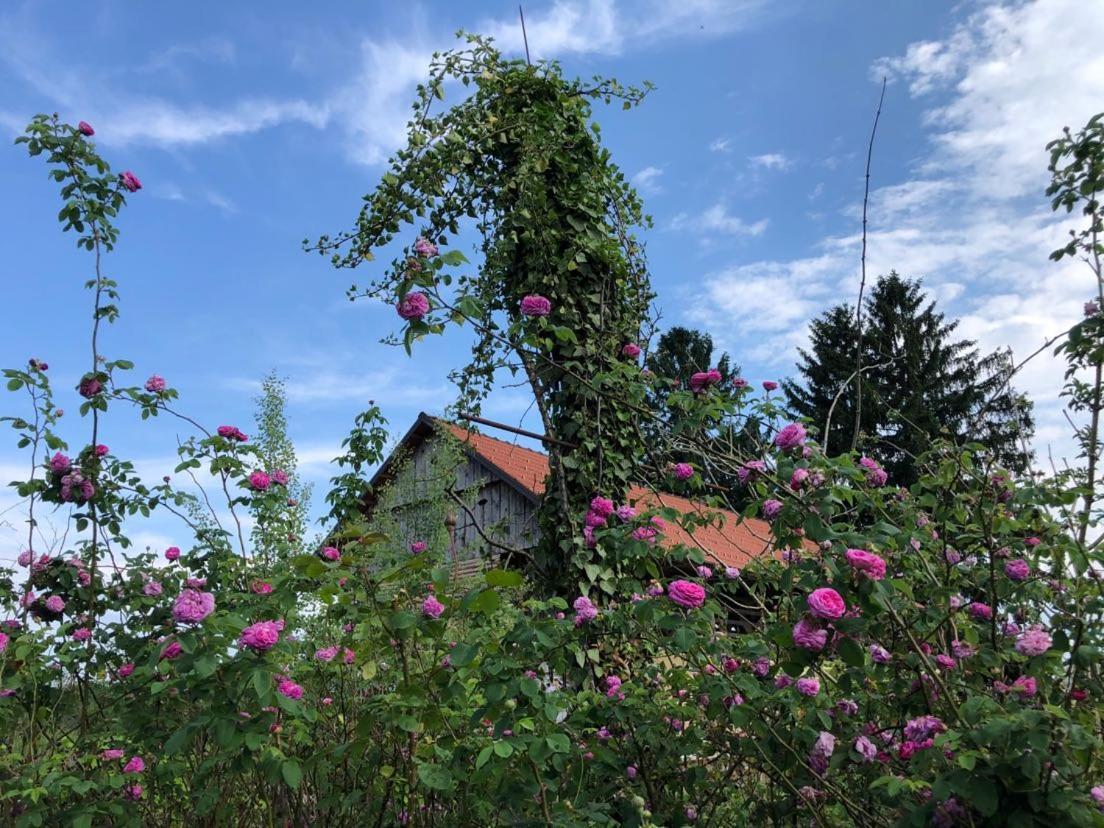 Сasa de vacaciones Edenski Vrt Ivancna Gorica