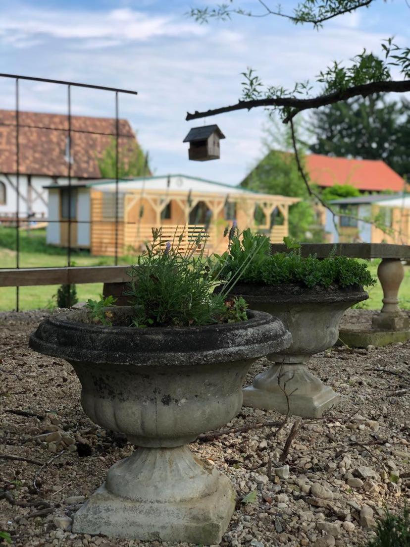 Vakantiehuis Edenski Vrt